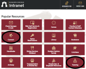 Image of СƵ Intranet Homepage with the Connect and Tutoring buttons circled.